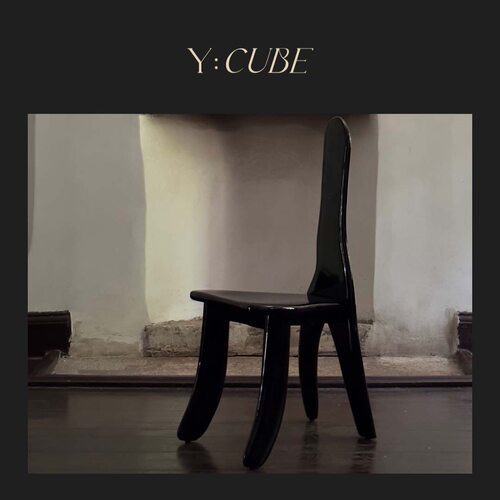 Y:CUBE | kar studio Oracle Chair甲骨文高光黑色艺术餐椅椅子
