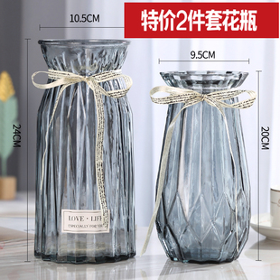 欧式 饰摆件插花瓶 玻璃花瓶透明彩色水培植物花瓶客厅装 二件套