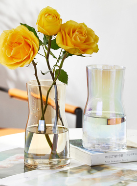 创意简约轻奢ins 风透明玻璃花瓶水培电镀插花瓶干鲜花餐桌小摆件