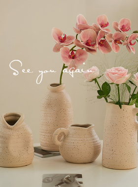 陶瓷花瓶北欧创意ins风干花插花器客厅电视柜民宿高级感装饰摆件
