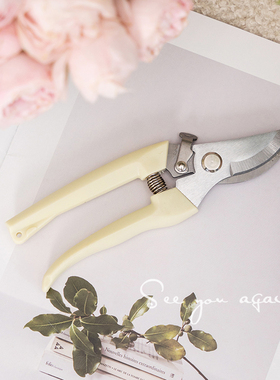 花艺剪刀园艺师专用月季玫瑰修枝剪刀修鲜花修剪去刺宝除刺钳神器