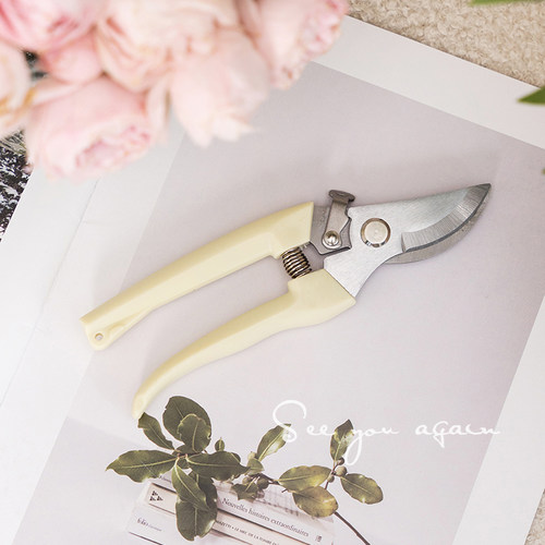 花艺剪刀园艺师专用修花去刺宝