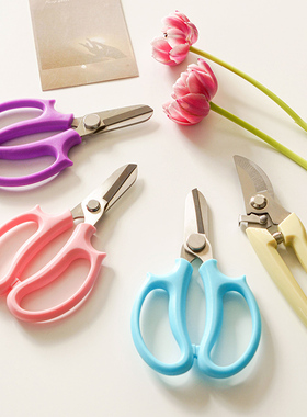 园艺剪枝剪刀修枝剪果树园林绿植鲜花玫瑰花艺剪子工具枝剪刀花剪