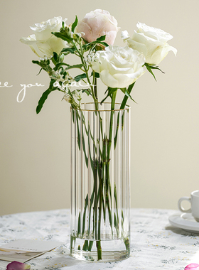 seeyou高级感ins风花瓶摆件客厅插花玻璃透明网红水培水养鲜花瓶
