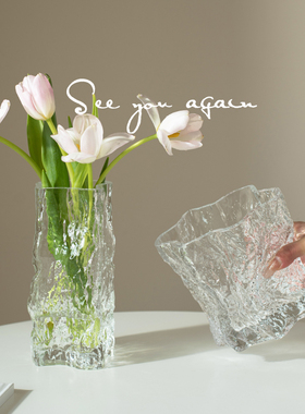花瓶高级感ins风玻璃透明轻奢客厅水养鲜花民宿餐桌插花装饰摆件