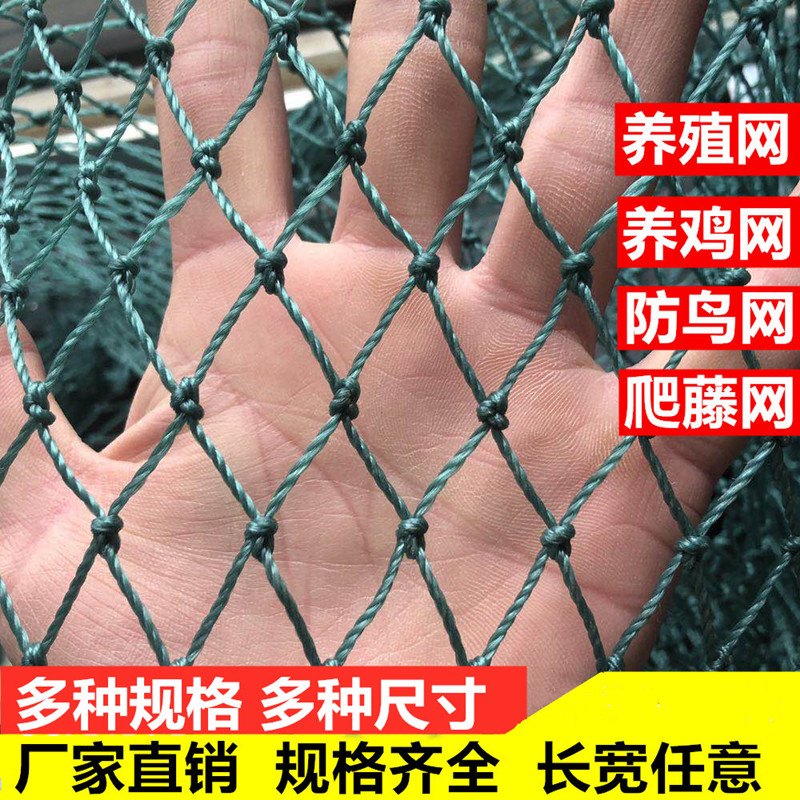 尼龙养殖网山鸡围栏菜园