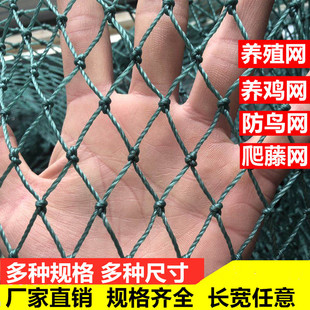 尼龙养殖网养鸡网山鸡网围栏网护栏网拦鸡网菜园网防护网防鸟网