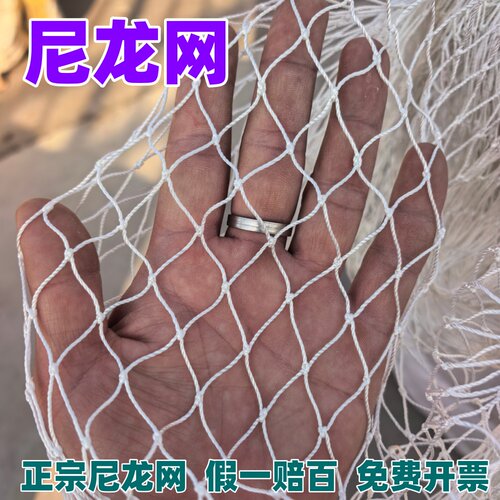尼龙网防鸟网安全网养鸡网