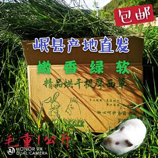 箱装烘干提摩西兔子豚鼠牧草草干草兔兔主粮干粮