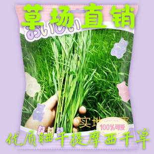 2025年优质晒干提摩西新草500g兔兔粮 豚鼠 何兰猪饲草饲料北提