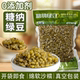 糖纳绿豆蜜豆熟绿豆开袋即食四果汤配料专用甜品小料烘焙馅料