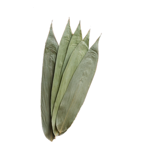 粽叶新鲜粽子叶大号干粽叶包粽子专用竹叶家用端午特大号商用批发