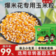 热烈球形爆米花专用玉米粒小包装 自制苞米花原料爆裂玉米家商用