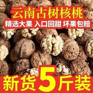 核桃新货2025年纸皮核桃薄皮云南野生老树大山黑桃孕妇核桃5斤装