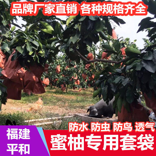 柚子专用套袋红心三红蜜柚水果纸袋防水防虫防晒葡萄柚袋子