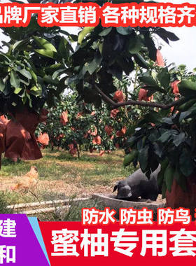 套袋水果专用防水防虫防晒袋子
