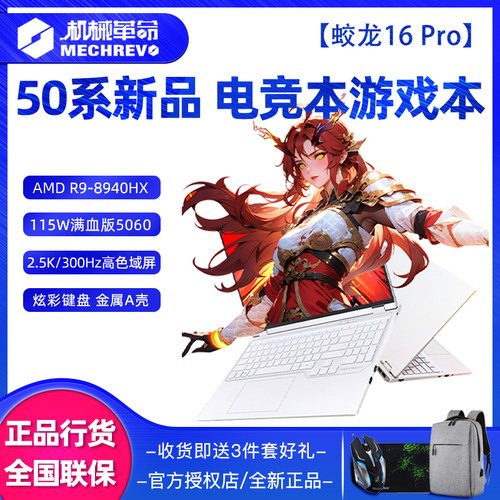 机械革命蛟龙16Pro游戏本电脑