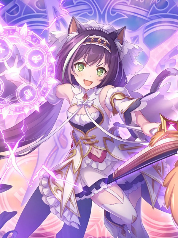 【bilibili】先行预定 ssf 公主连结 re:dive 凯露 公主 手办