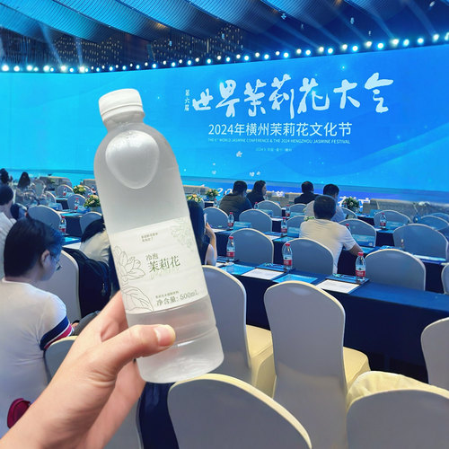 冷泡茉莉花水饮料无糖0卡0脂茉莉花茶横县产网红爆款清爽饮品