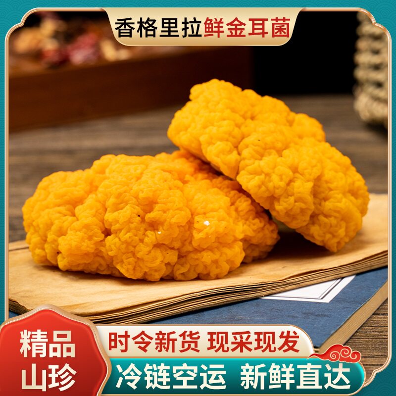 云南特产金耳菌新鲜采摘黄金木耳黄金银耳菌食用野生菌非干货500g