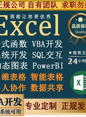 英文Excel建模VBA编程金融统计WPS表格制作JS宏代写公式出入库