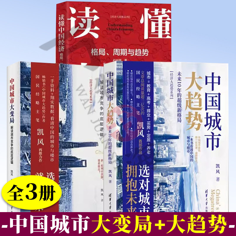 【全3册】经济大趋势系列中国城市大变局解读城市竞争的底层逻辑读懂中国经济格局周期与趋势中国城市大趋势未来10年的新格局书籍