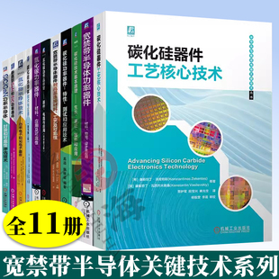 11册宽禁带半导体关键技术碳化硅器件工艺核心技术氮化镓功率器件特性测试应用可靠性SiC 芯片集成电路工艺技术 GaN功率半导体封装