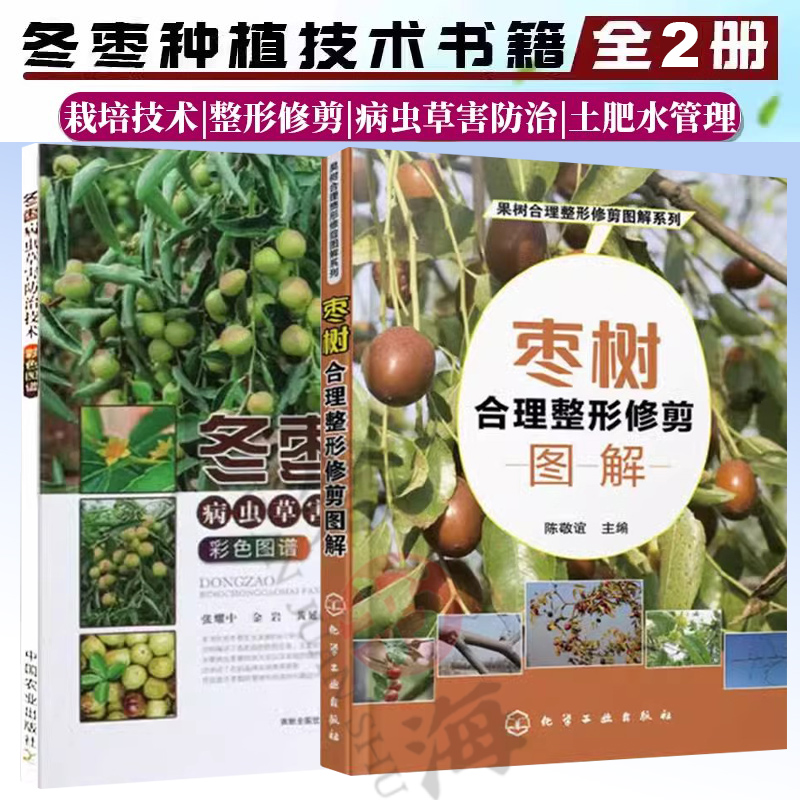 冬枣种植技术书籍全2册 枣树合理整形修剪图解+冬枣病虫草害防治技术彩色图谱 大枣栽培技术整形修剪病虫草害防治水肥