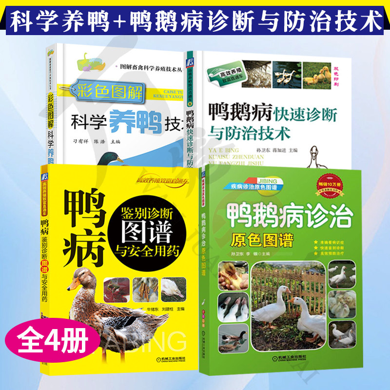 4册 鸭病鉴别诊断图谱与安全用药+鸭鹅病诊治原色图谱+鸭鹅病快速诊断与防治技术+彩色图解科学养鸭技术 鸭病防治 如何养鸭 肉鸭
