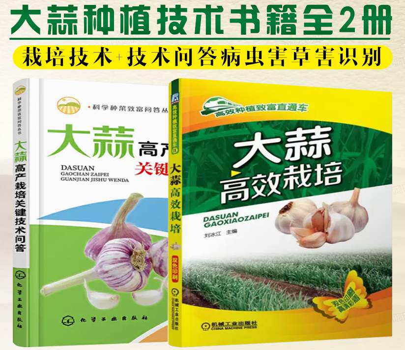 大蒜种植技术书籍全两册 大蒜高效栽培+大蒜高产栽培关键技术问答 栽培技术病虫害草害识别与防治技术储藏保鲜与加工技术