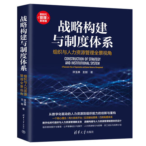 2023新书 战略构建与制度体系 组织与人力资源管理全景视角 许玉林 王剑 人力资源管理制度体系设计 组织绩效提升书 9787302625292 - 封面