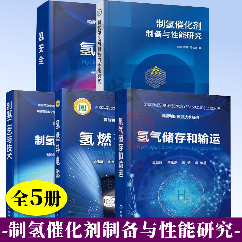 制氢催化剂制备与性能研究+制氢工艺与技术+氢燃料电池+氢气储存和输运+氢安全 氢能技术 氢能利用关键技术系列书籍