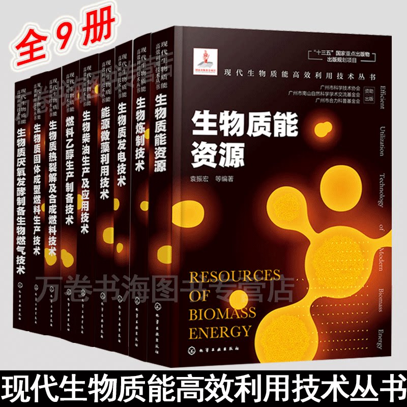 现代生物质能高效利用技术丛书