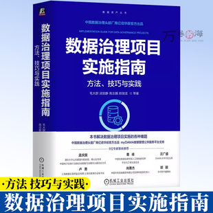 数据治理项目实施指南：方法、技巧与实践 毛大群 汤贺静 高志鹏 郑渤龙 数据要素 数据资产入表 数据资产管理 评估 9787111794066