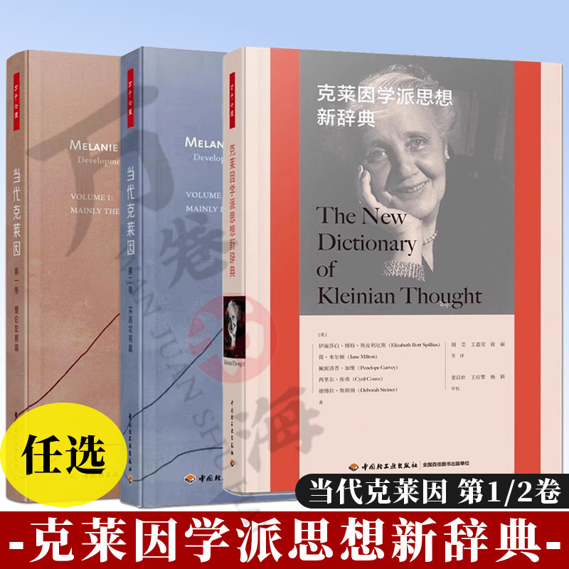 克莱因精神分析 当代克莱因 第一卷 理论发展篇+第2卷 实践发展篇 克莱因学派精神分析+克莱因学派思想新辞典心理学心理咨询与治疗