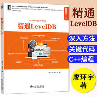 正版书籍 精通LevelDB 廖环宇 张仕华 揭秘LevelDB设计鲜见资料 赏Bigtable之美 计算机与互联网 数据库 机械工业出版社