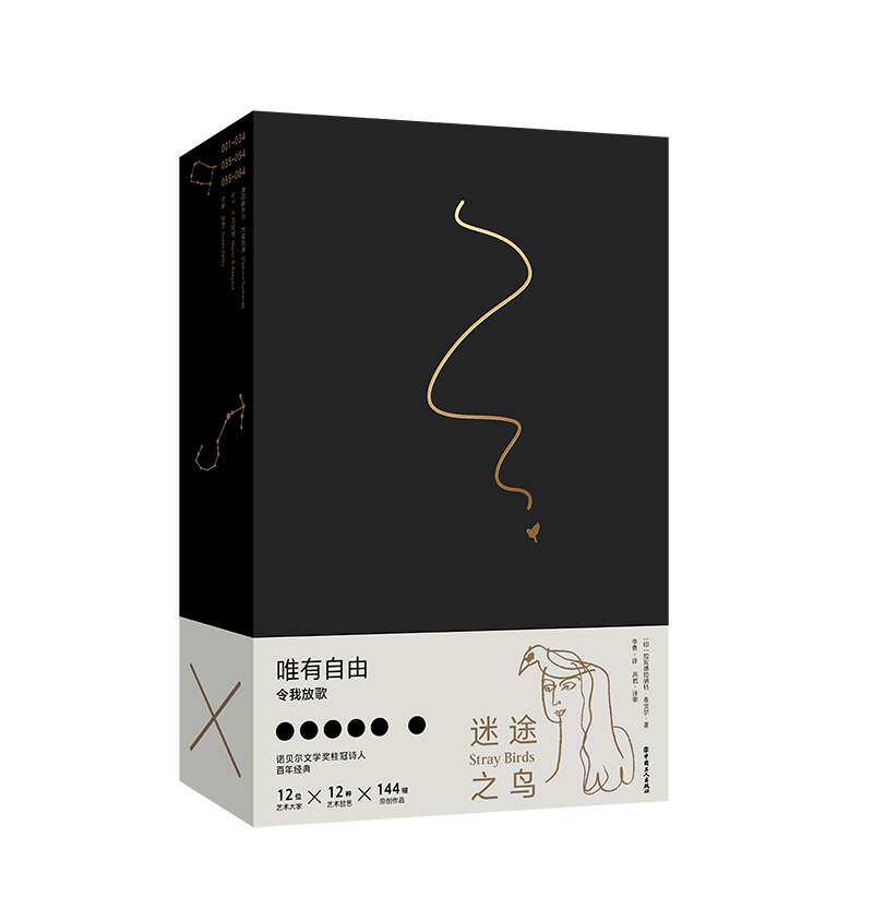 迷途之鸟 12位当代艺术家同题原创画作附赠大海报12星座手绘藏书票泰戈尔诞辰160周年纪念版 中国工人出版社 文学诗歌现代当代文学