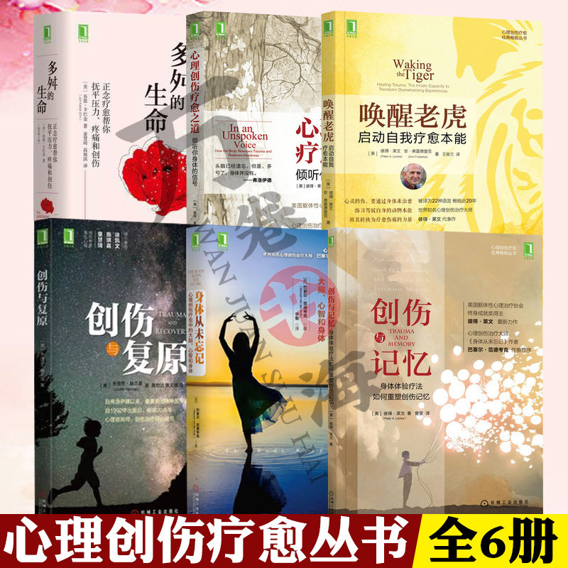 心理疾病治疗恢复书籍指南6册