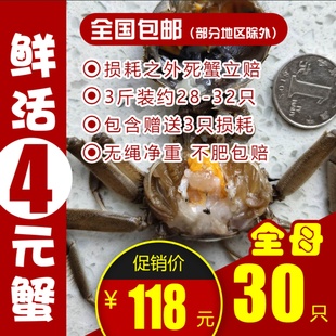 正宗大闸蟹螃蟹肥蟹六月黄 包邮 1.3两盘锦河蟹鲜活1元 全母30只0.9