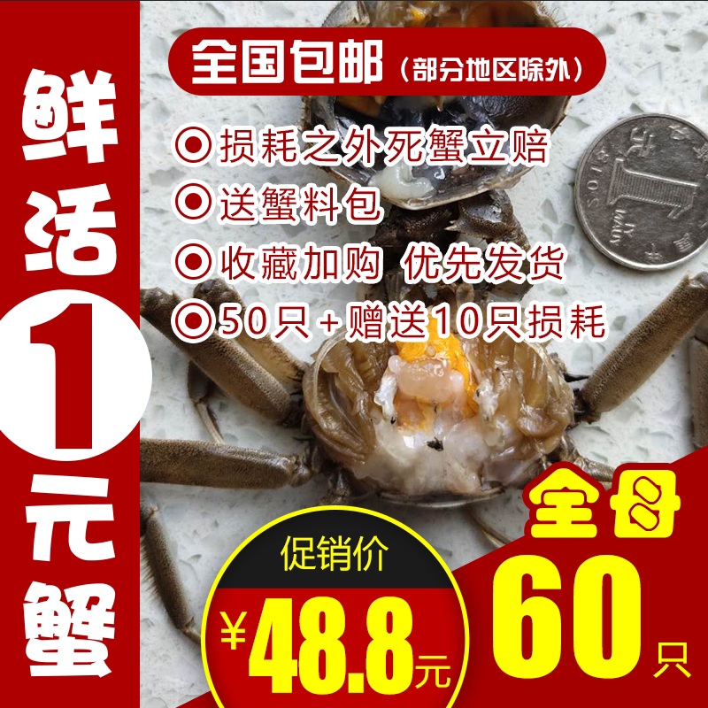 全母40只盘锦河蟹鲜活1一元蟹老头蟹醉蟹稻田蟹六月黄香辣蟹活蟹