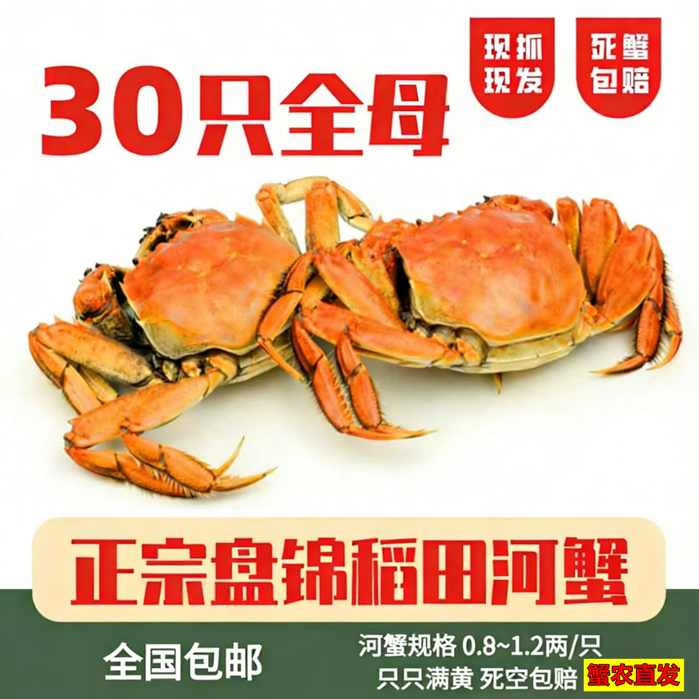 全母30只0.8-1.2两盘锦河蟹鲜活1元正宗大闸蟹螃蟹肥蟹六月黄活蟹
