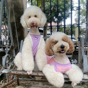 中大型犬夏凉衣防晒空调房衣服巨贵夏装 金毛背心拉多衣服柴犬阿拉