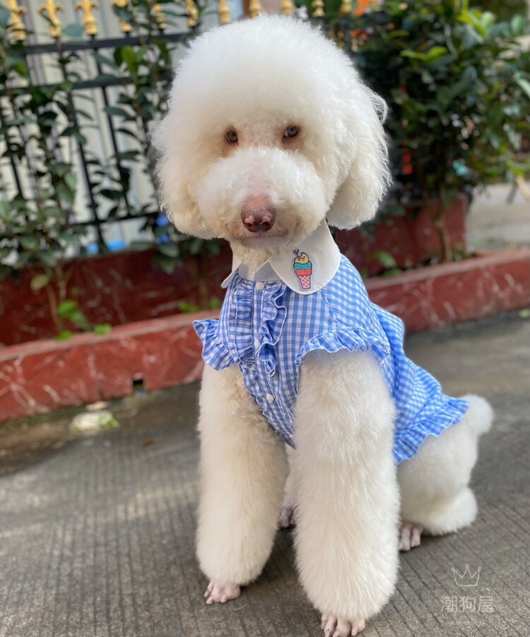 可定制小清新夏日格子大狗衬衫裙巨贵拉多萨摩金毛阿拉衣服狗衣服