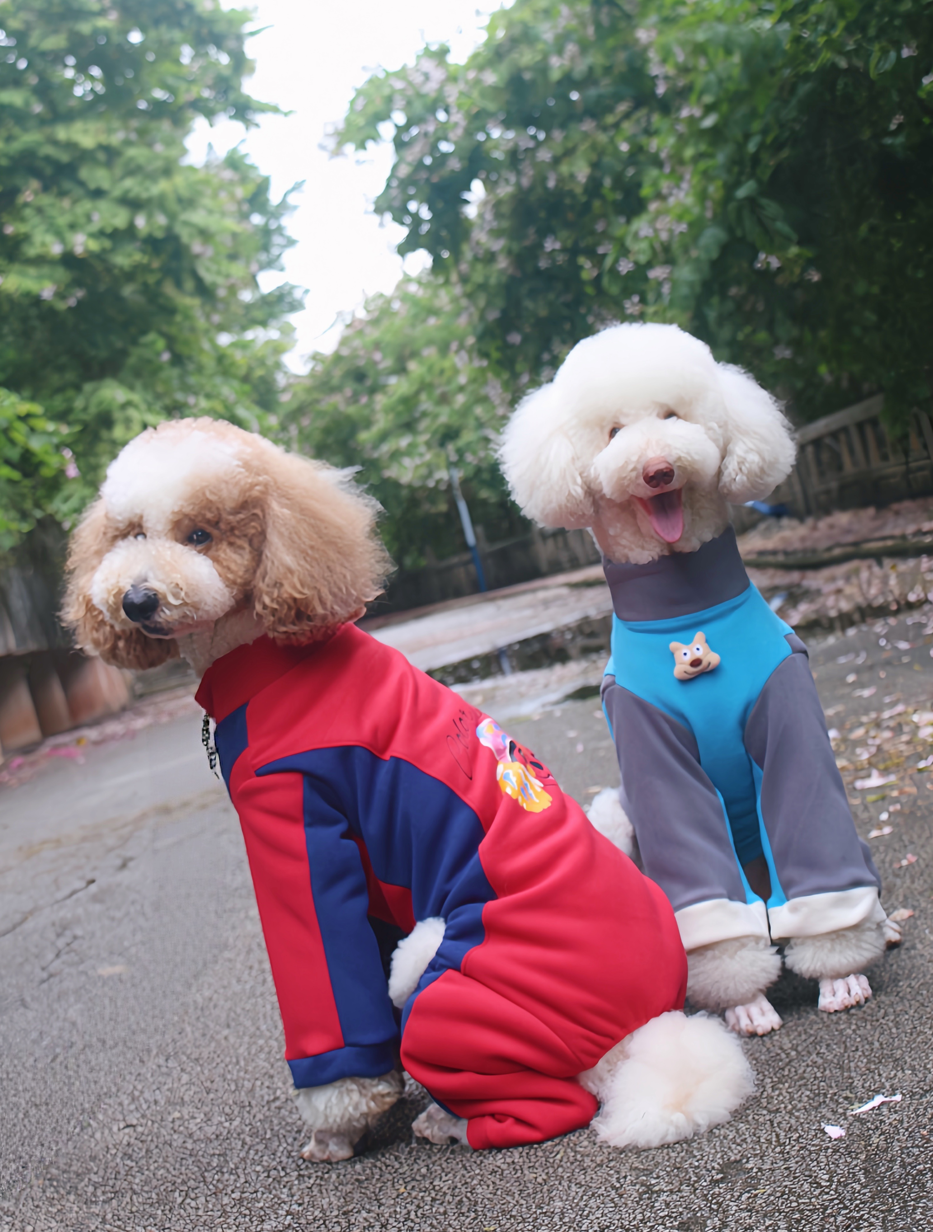 中大型犬秋冬保暖摇粒绒连体衣巨贵四脚衣拉多金毛古牧边牧秋冬装