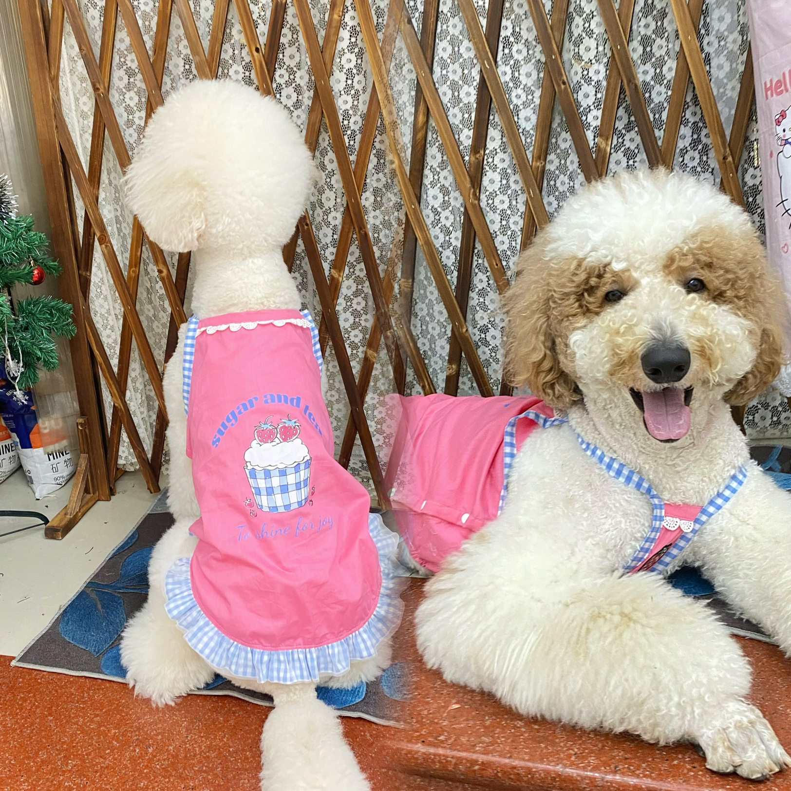 夏季大狗狗简约吊带连衣裙巨贵吊带衣阿拉萨摩耶柴犬拉多金毛衣服