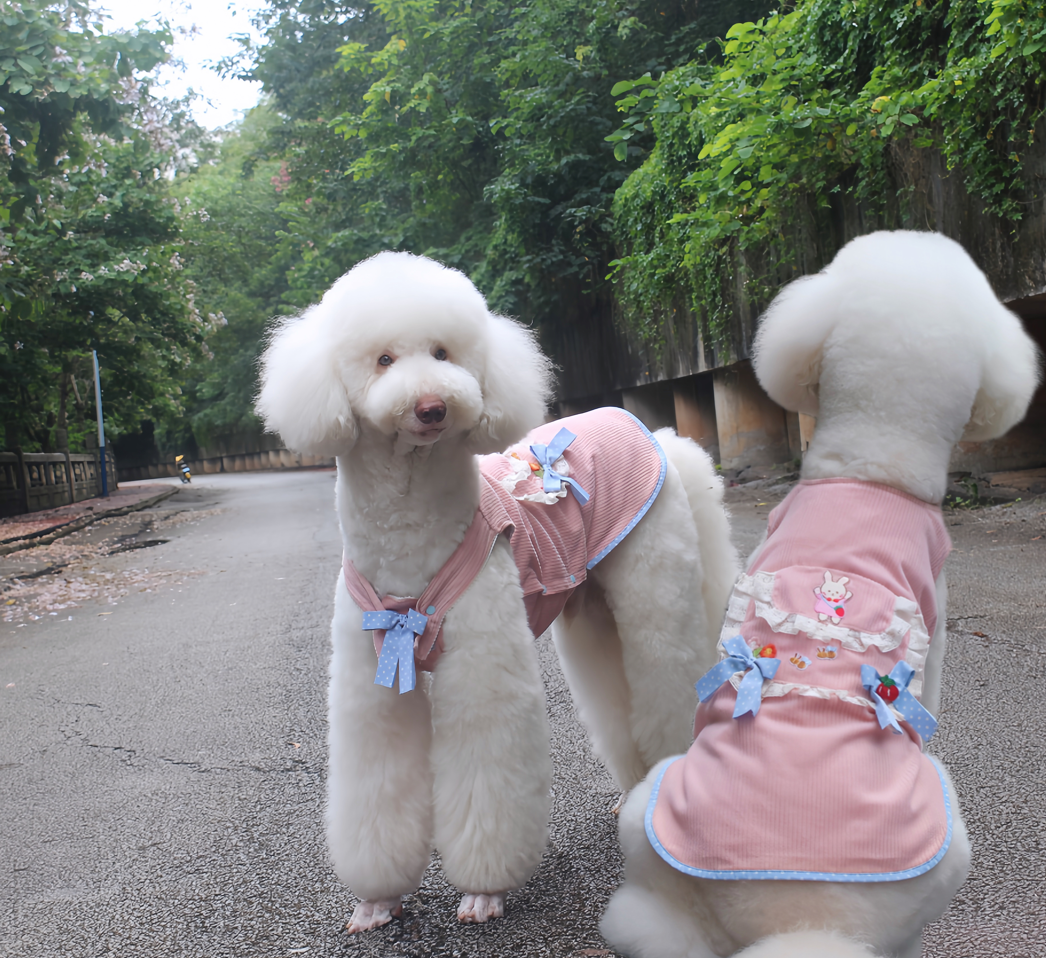 巨贵背带裙巨贵秋冬装大狗裙子金毛哈士奇萨摩耶公主裙宠物衣服冬