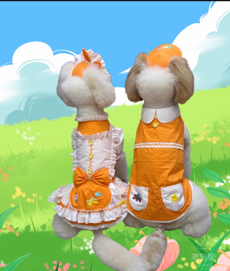 中大型犬情侣装拉布拉多金毛松狮衣服萨摩耶裙子巨贵夏装裙子狗衣