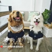 宠物女仆装 大小狗有份萨摩扮靓女仆裙子拉布拉多裙子巨贵衣服裙子