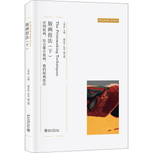 数码 社 版 丝网版 画 下 书籍 画技法 画技法作者北京大学出版 综合媒介版 新华正版