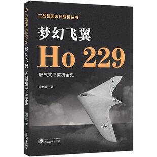 梦幻飞翼 229喷气式 飞翼机全史蒙创波 社 著9787307237261武汉大学出版 正版